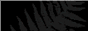 Official NZ Govt website on the Treaty of Waitangi